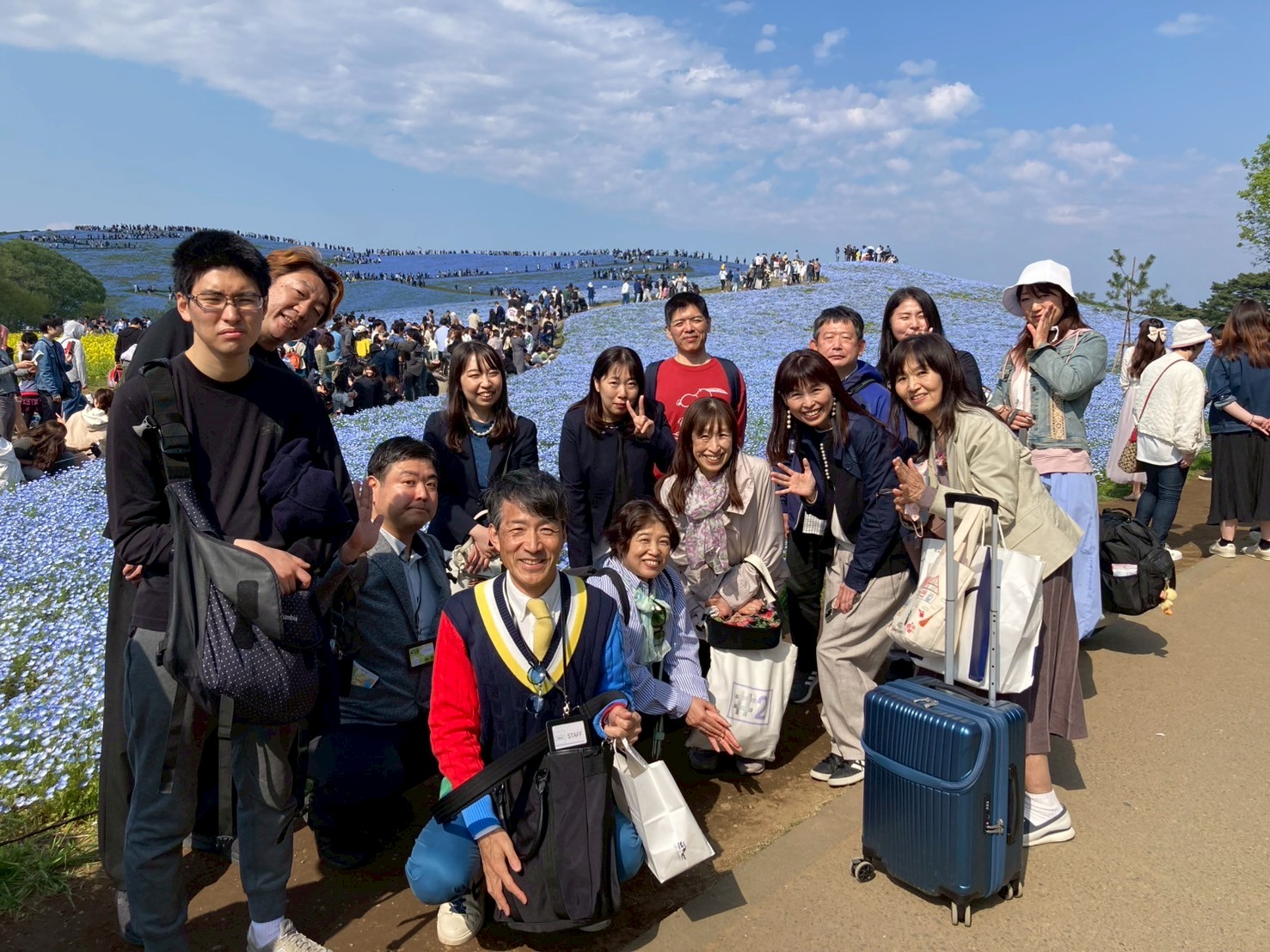 春の学習会・ランチ会・ネモフィラ鑑賞散策会の開催報告